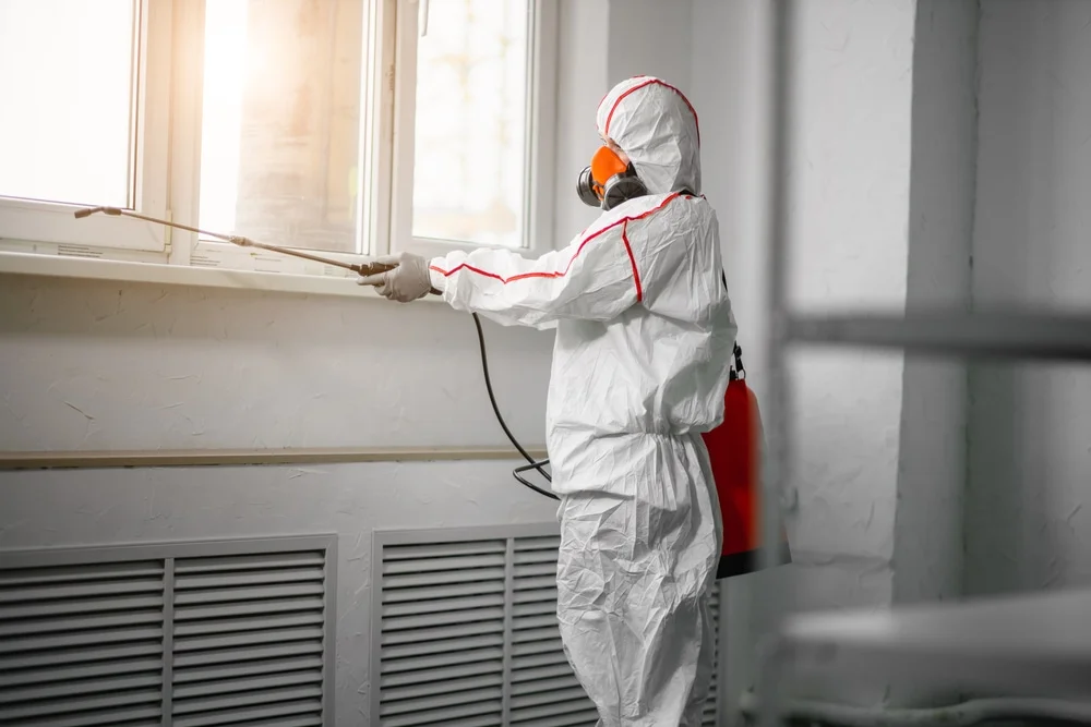 Professional mold remediation services in Hamburg, AR